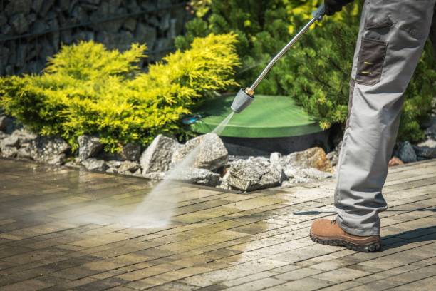 Best Playground Equipment Cleaning  in Warm Springs, CA